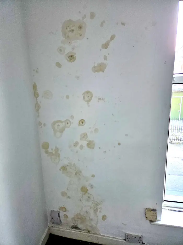gallery-cavity-wall-insulation-causing-internal-damp-wall